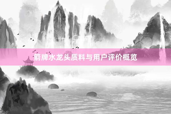 箭牌水龙头质料与用户评价概览